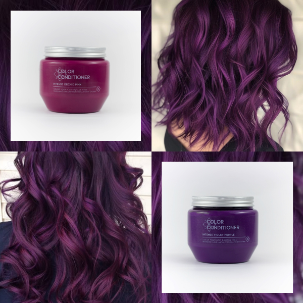 Burgundy Purple Vivids Bundle